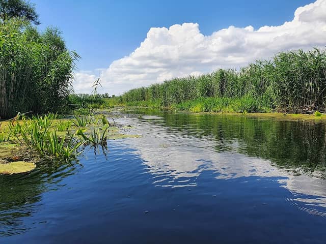 Gryfiński (starorzecze) - Image 2