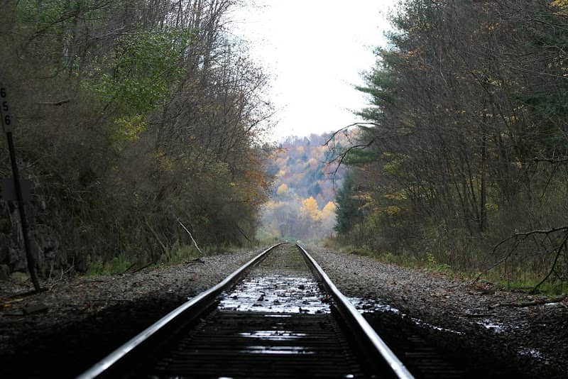DL&W Railroad Factoryville Tunnels southeast end - Image 2