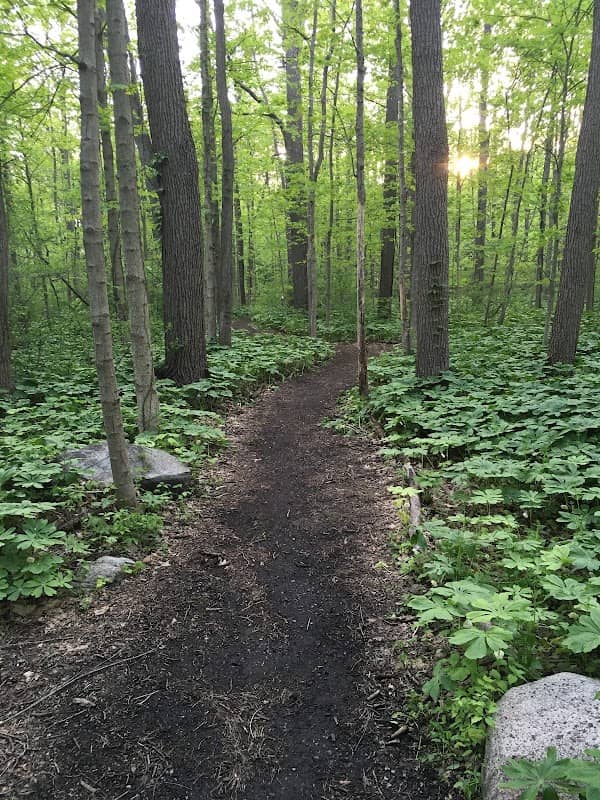 Virginia B. Matley Nature Trail - Image 1