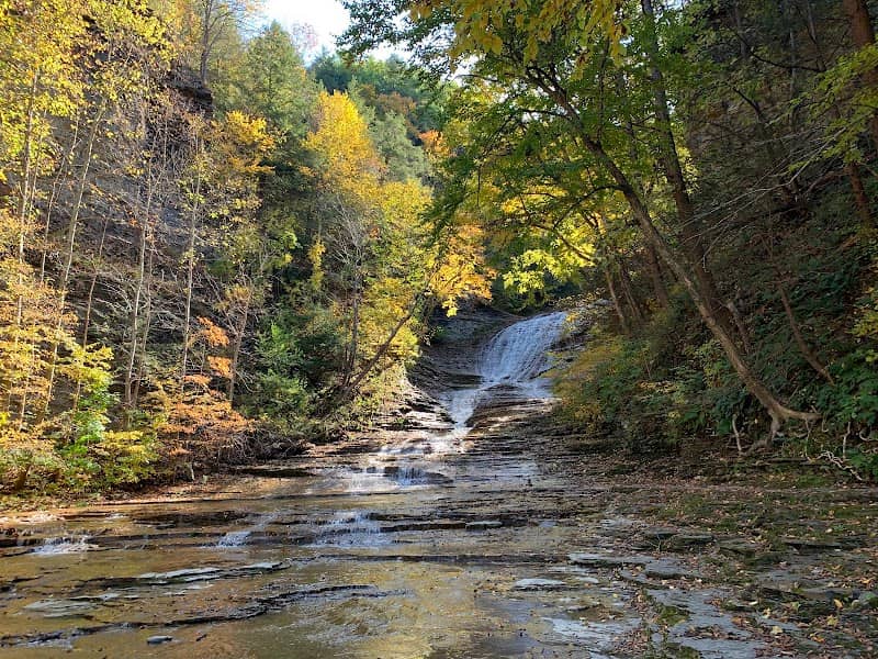 Gorge Trail - Image 3