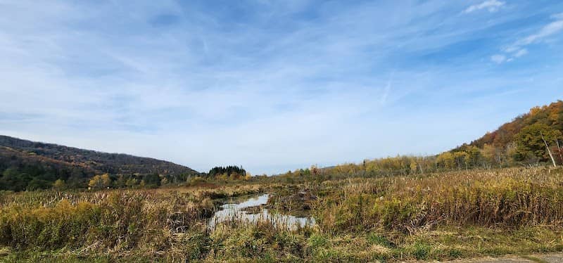 Seneca Nation Fish and Wildlife Community Pond and Recreation Area - Image 1