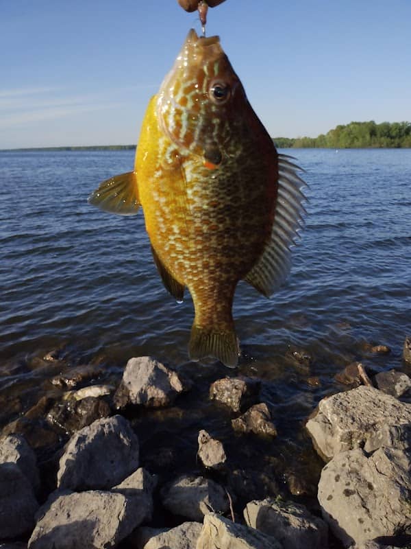 Tailwater Recreation Area - Image 1