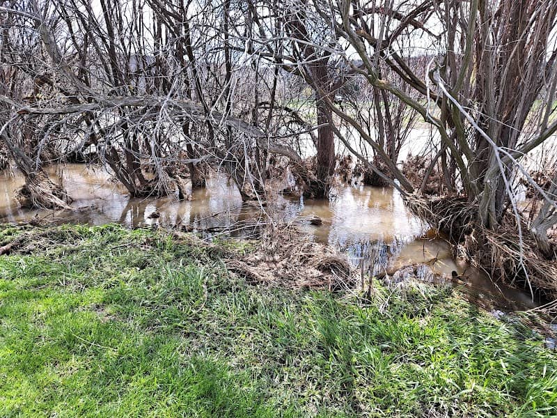 Gervais Park - Image 1