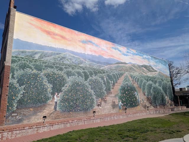 Mural-- Yokuts Harvest - Image 2