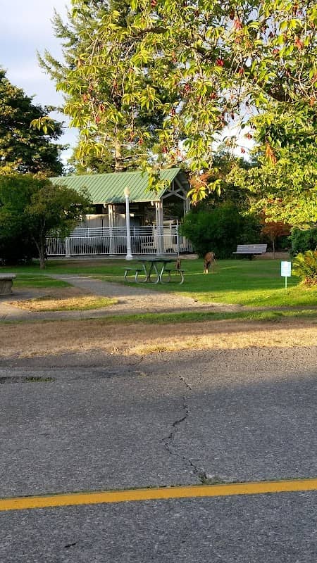 Robinson Park - Image 1