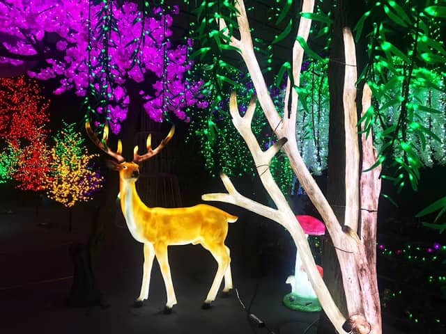 Creative Arts & Attractions - Image 1