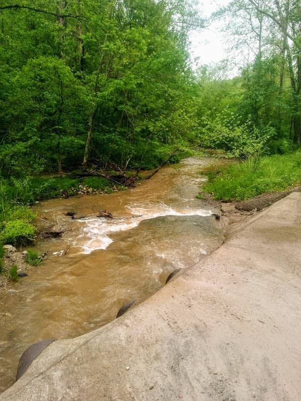 Amherst/Plymouth Wildlife Management Area - Image 2
