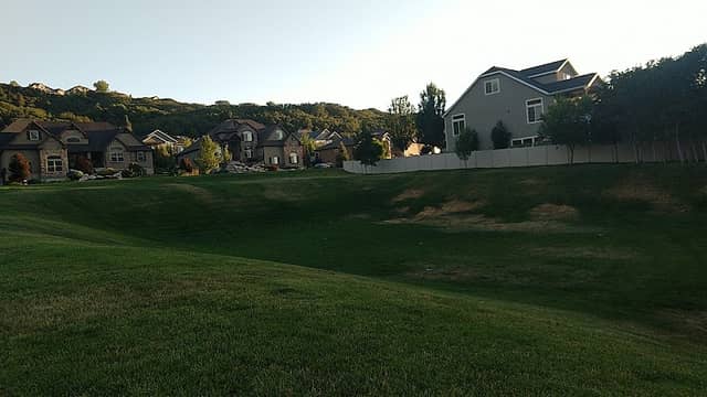 Silver Leaf Park - Image 1