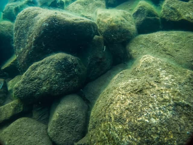 Gnome Beach - Image 1