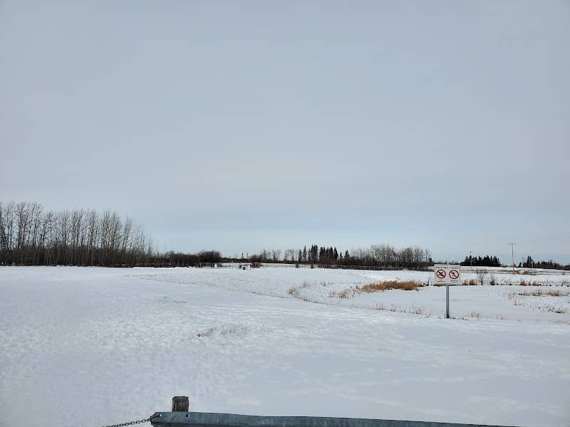Walking Trail at Calmar area - Image 1