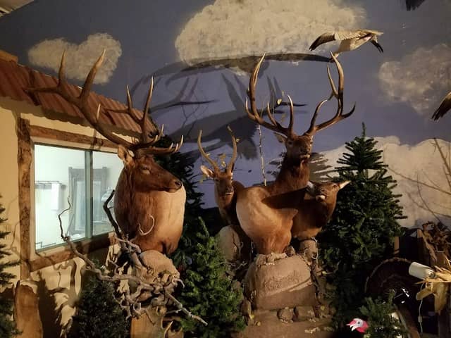 Messenger's Old West Museum - Image 2