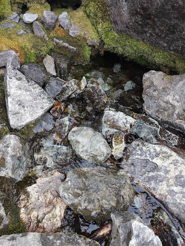 Fonte fiume Po - Image 1
