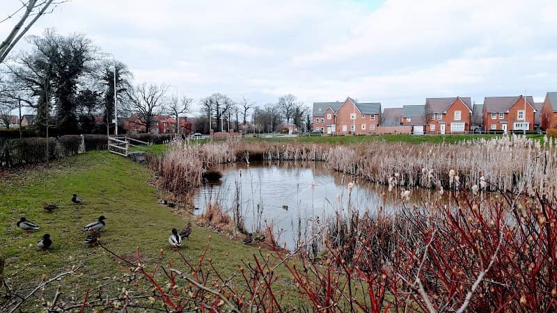 St James' Gate Balancing Pond - Image 2