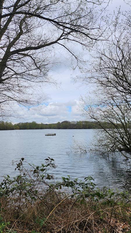 Bird Hide - Image 1
