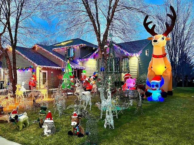 Ed’s Dancing Christmas Lights - Image 1