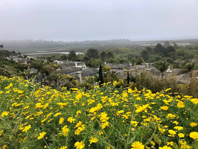 Vista point - Image 3