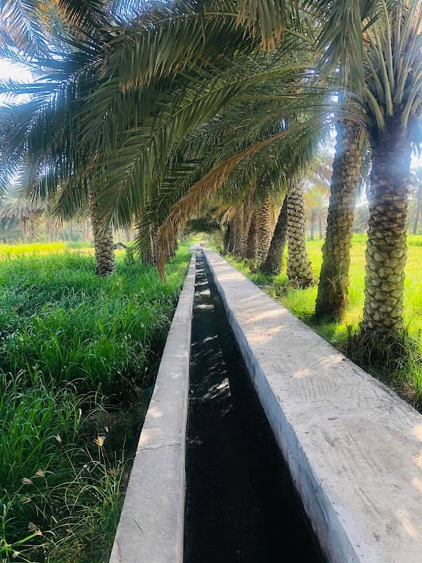 Al Hamra Farms Path - Image 1