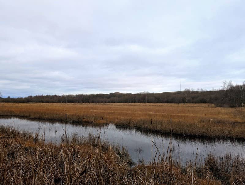Red Moss Nature Reserve - Image 2