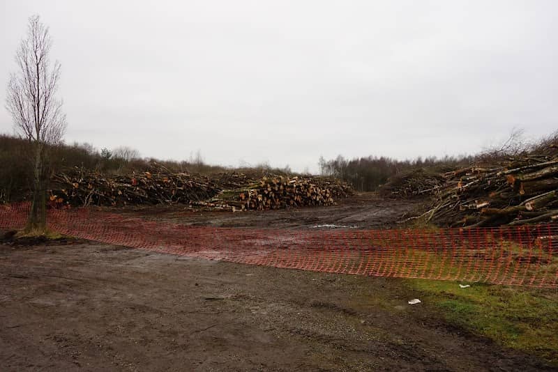 Red Moss Nature Reserve - Image 1