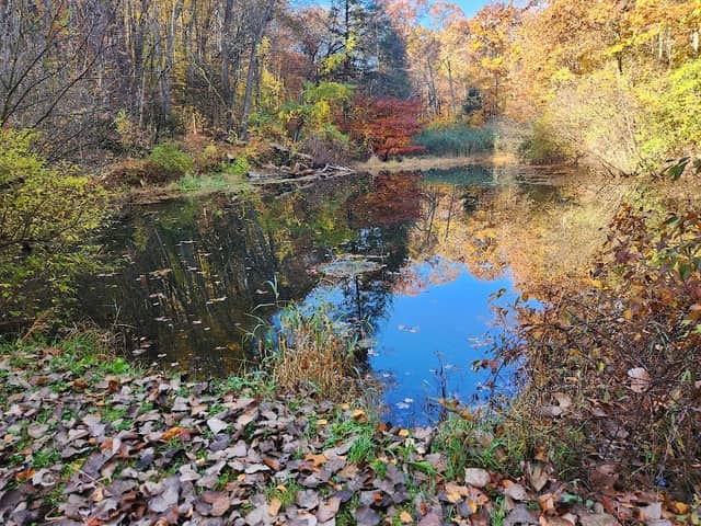 North Woods Nature Preserve - Image 3