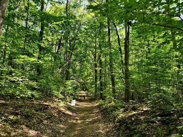 North Woods Nature Preserve - Image 1