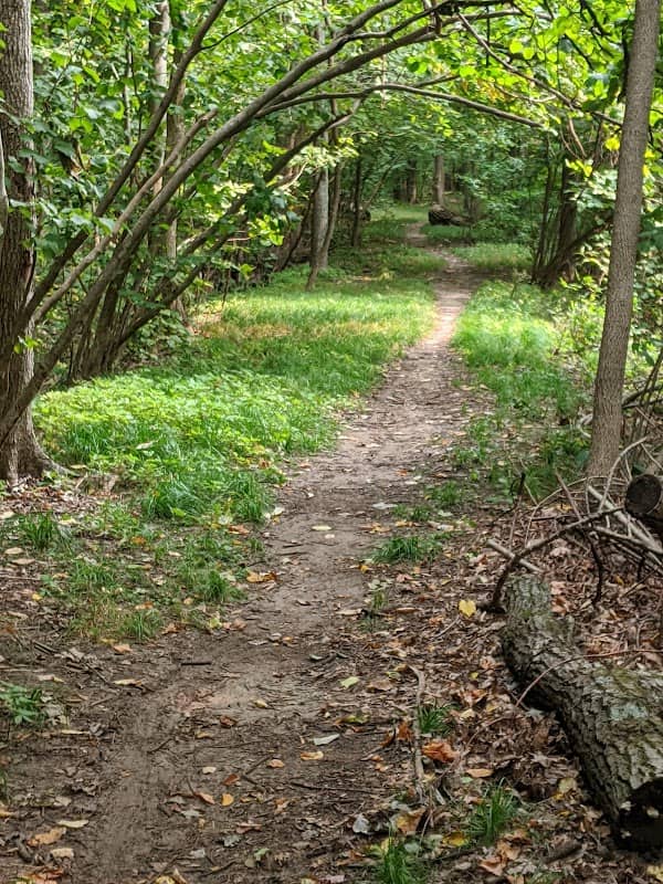 North Woods Nature Preserve - Image 2