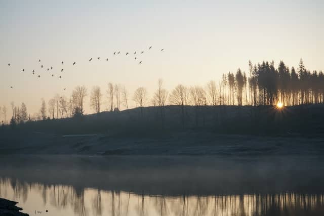 Mandelholztalsperre - Image 1