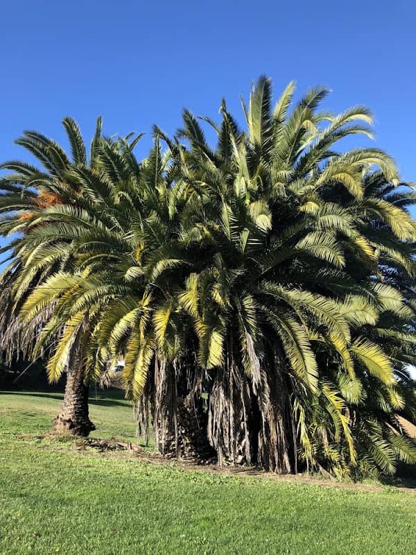 Lake Dalwigk Park - Image 1