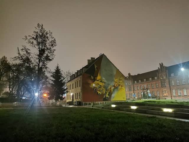 Mural "Atlantyda północy" by Bartek Świątecki aka Pener - Image 2