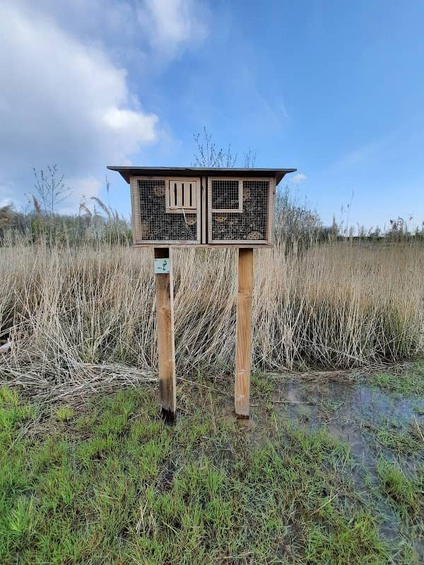 Heidekamppark - Image 2