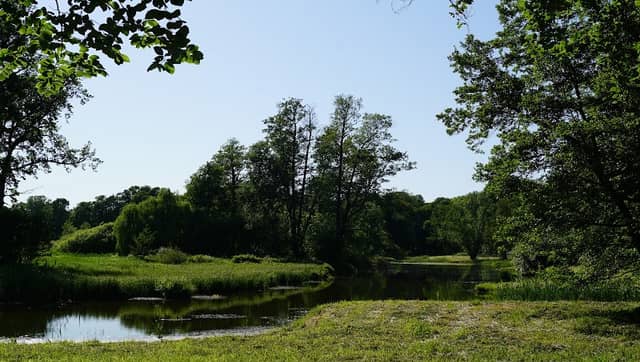 Lenné-Park - Image 1