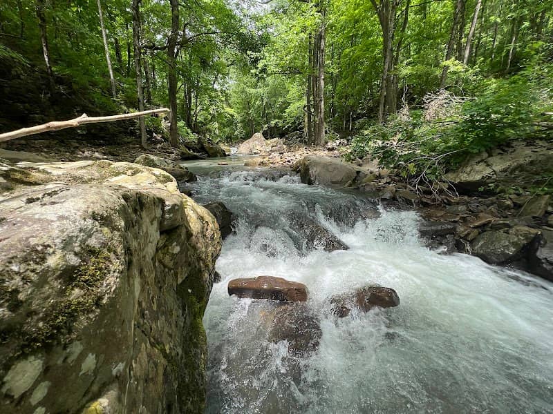 Twin Falls at Devil's Fork - Image 2
