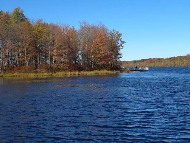 Gouldsboro State Park - Image 2