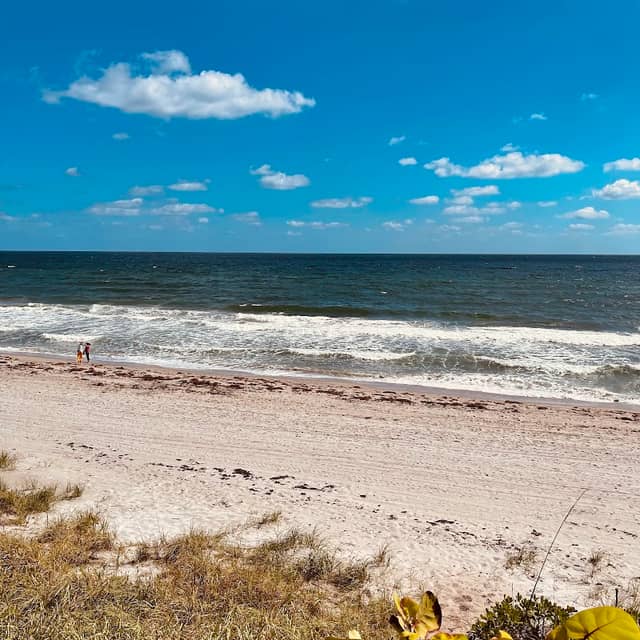 Red Reef Park - Image 3