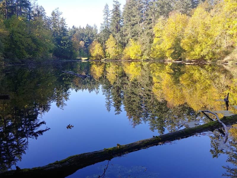 Lake Lois Park - Image 2