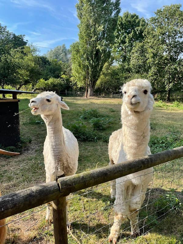 Baylham House Farm - Image 3