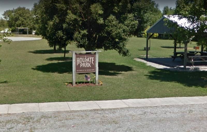 Holgate Park - Image 1
