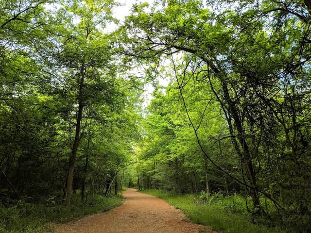 Lick Creek Park - Image 1