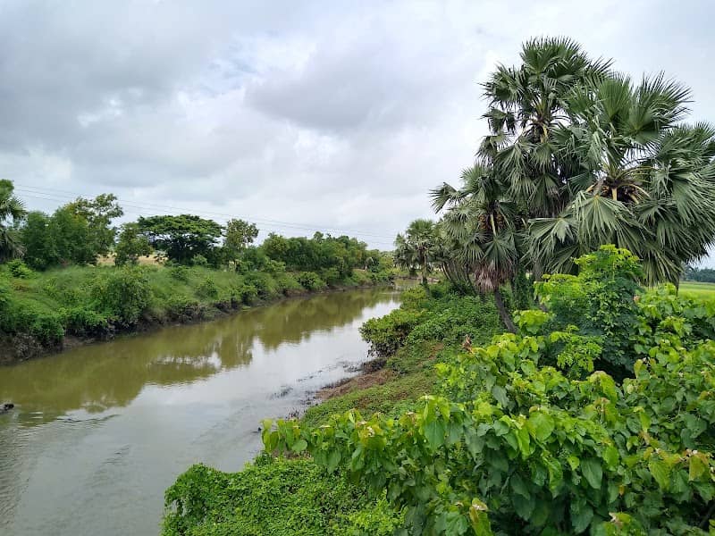Tal bandh - Image 1