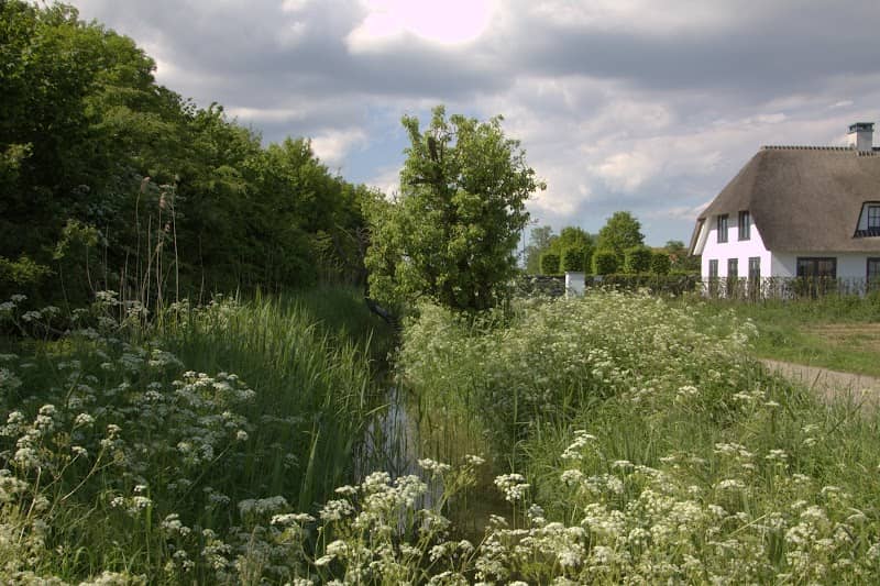 Rietdijk - Image 2