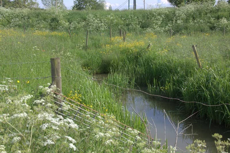 Rietdijk - Image 1
