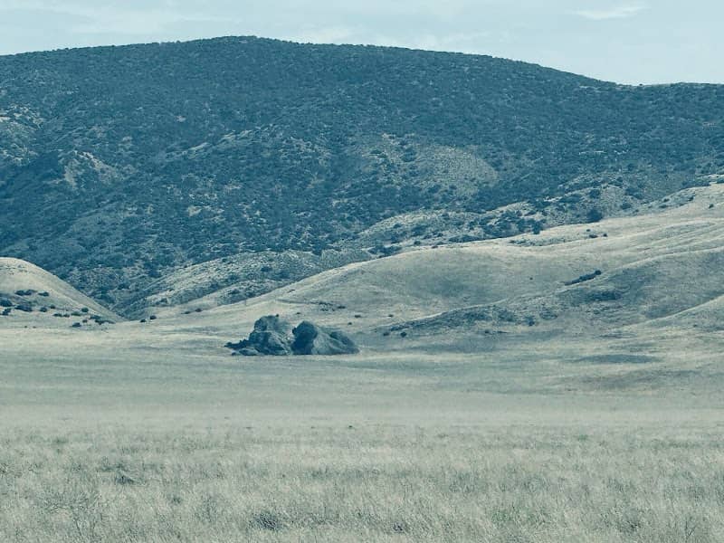 Carrizo Plains Ecological Reserve - American Ranch Unit - Image 3