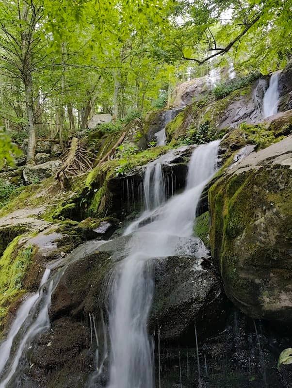 Dark Hollow Falls, Shenandoah National Park - Image 1