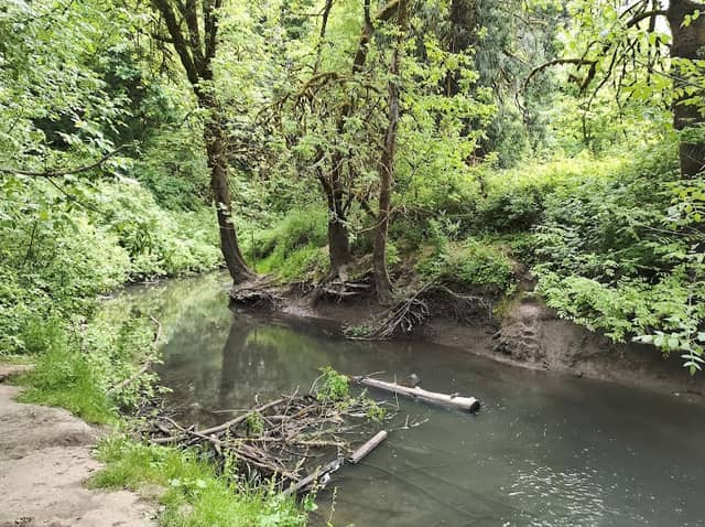 Noble Woods Park - Image 2