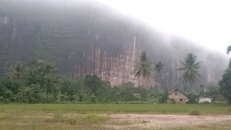 Sumatra Tarzan - Image 2