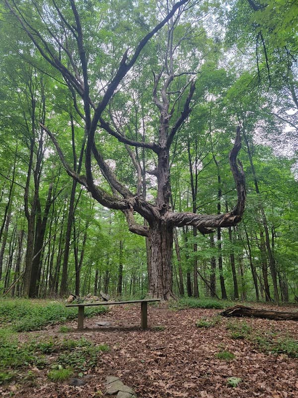 Mt Ward Trail Head - Image 1
