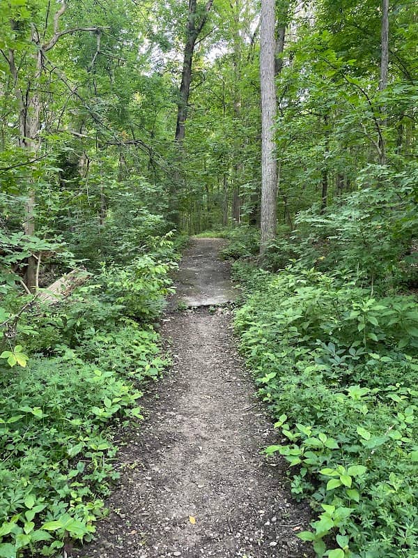 East Branch Rocky River Bridge - Image 1