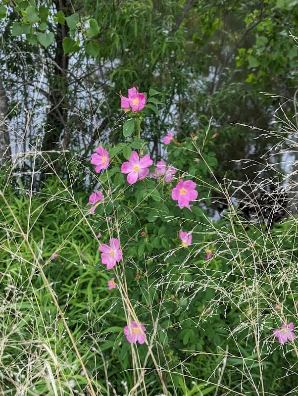 Greenway Park - Image 2