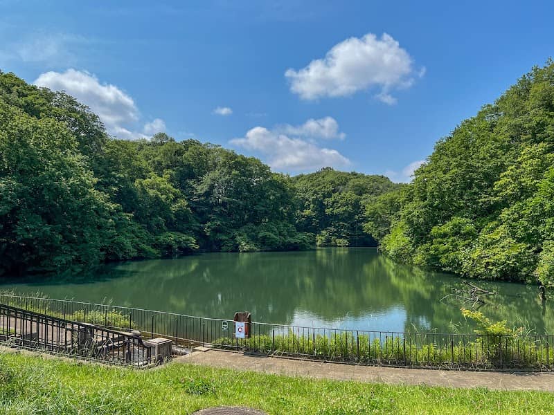 Nagaike Park - Image 1