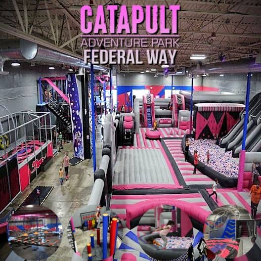Catapult Adventure Park - Image 2